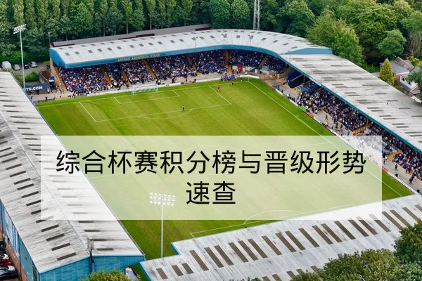 综合杯赛积分榜与晋级形势速查